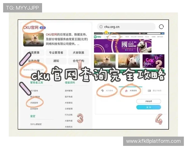 凯发集团下载官网网址查询详细指南帮助玩家快速找到官方安全下载入口
